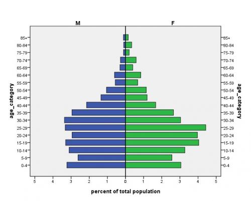 Population distribution of Harar, 2013.